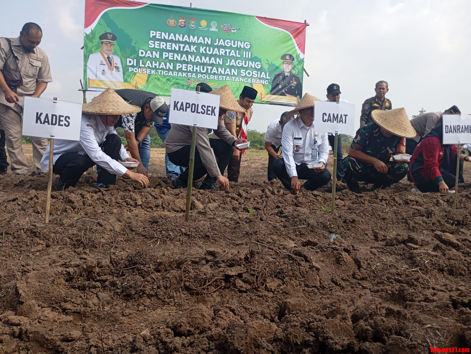 Kapolsek Tigaraksa Bersama Dengan Forkopimcam Melakukan Penanaman Bibit Jagung Hibrida